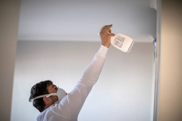 Best White Mold Remediation in Goose Creek Village, VA