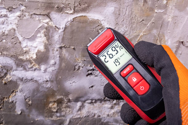 Best Post-Remediation Services in Goose Creek Village, VA