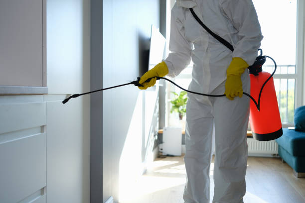  Goose Creek Village, VA Mold Removal Pros