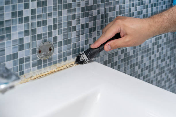 Best Localized Mold Remediation (e.g., coastal areas, humid climates) in Goose Creek Village, VA