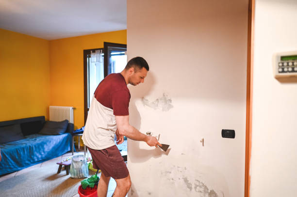 Best Residential Mold Remediation in Goose Creek Village, VA