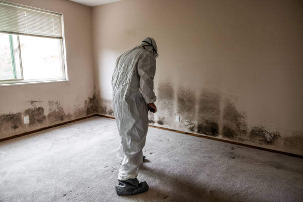 Goose Creek Village, VA Mold Remediation Company
